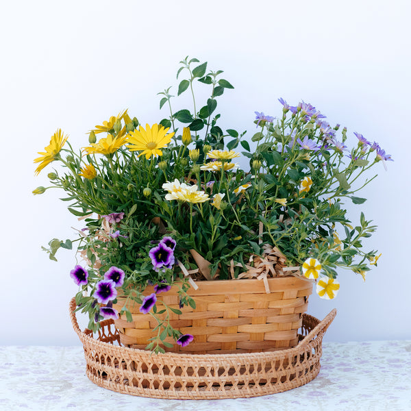 Seasonal Garden Basket