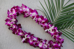 Hawaiian Orchid Lei